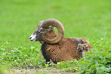 《无垠之心》将于明年1＆19日发行 登陆各大平台