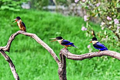 Steam Deck已上架京东自营 美版512G售价5999元