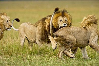 Stadia手柄将发布更新支持蓝牙功能 下周公布详细内容